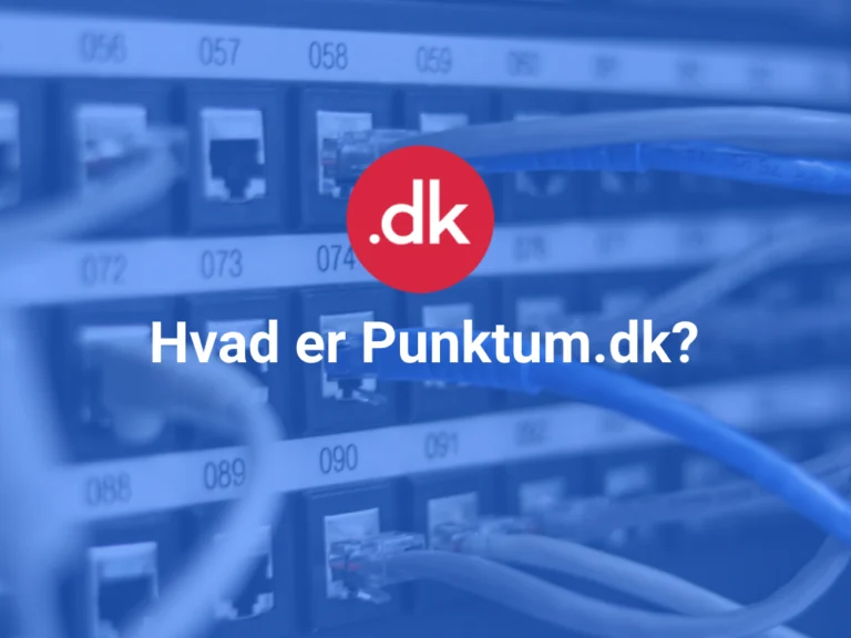 Hvad er Punktum.dk?